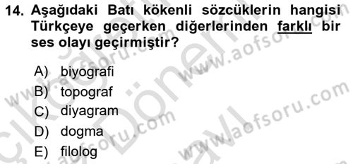 Türkçe Ses Bilgisi Dersi 2024 - 2025 Yılı (Final) Dönem Sonu Sınav Soruları 14. Soru