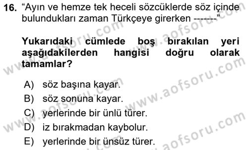 Türkçe Ses Bilgisi Dersi 2024 - 2025 Yılı (Final) Dönem Sonu Sınav Soruları 16. Soru