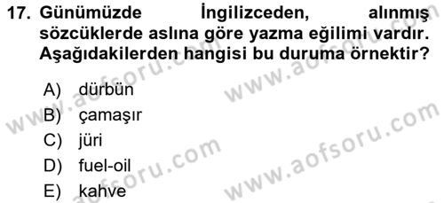 Türkçe Ses Bilgisi Dersi 2024 - 2025 Yılı (Final) Dönem Sonu Sınav Soruları 17. Soru
