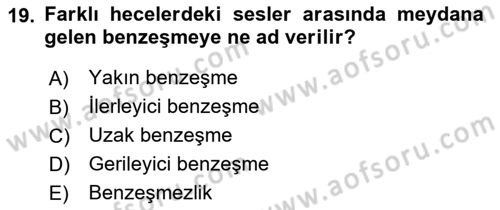 Türkçe Ses Bilgisi Dersi 2024 - 2025 Yılı (Final) Dönem Sonu Sınav Soruları 19. Soru