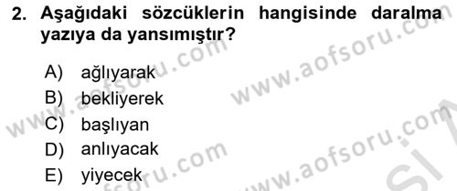 Türkçe Ses Bilgisi Dersi 2024 - 2025 Yılı (Final) Dönem Sonu Sınav Soruları 2. Soru
