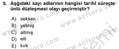 Türkçe Ses Bilgisi Dersi 2024 - 2025 Yılı (Final) Dönem Sonu Sınav Soruları 5. Soru