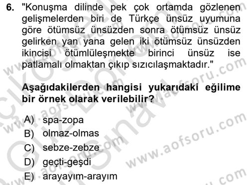 Türkçe Ses Bilgisi Dersi 2024 - 2025 Yılı (Final) Dönem Sonu Sınav Soruları 6. Soru