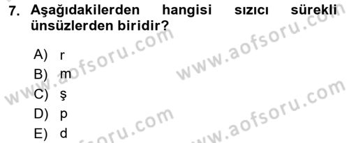 Türkçe Ses Bilgisi Dersi 2024 - 2025 Yılı (Final) Dönem Sonu Sınav Soruları 7. Soru