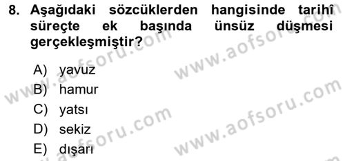 Türkçe Ses Bilgisi Dersi 2024 - 2025 Yılı (Final) Dönem Sonu Sınav Soruları 8. Soru