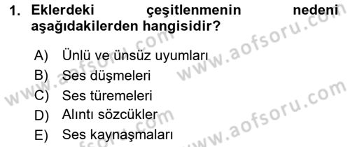 Türkçe Ses Bilgisi Dersi 2024 - 2025 Yılı Yaz Okulu Sınav Soruları 1. Soru