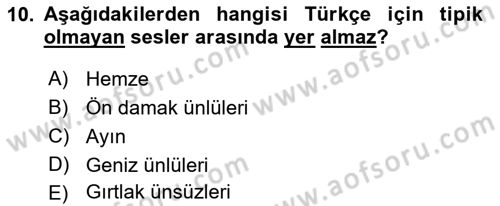 Türkçe Ses Bilgisi Dersi 2024 - 2025 Yılı Yaz Okulu Sınav Soruları 10. Soru