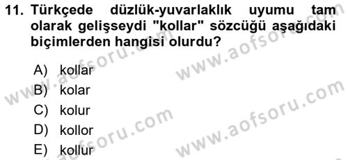 Türkçe Ses Bilgisi Dersi 2024 - 2025 Yılı Yaz Okulu Sınav Soruları 11. Soru