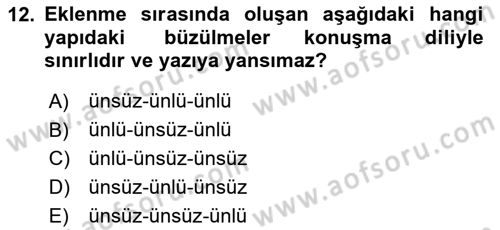 Türkçe Ses Bilgisi Dersi 2024 - 2025 Yılı Yaz Okulu Sınav Soruları 12. Soru