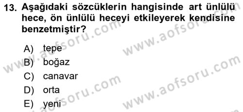 Türkçe Ses Bilgisi Dersi 2024 - 2025 Yılı Yaz Okulu Sınav Soruları 13. Soru