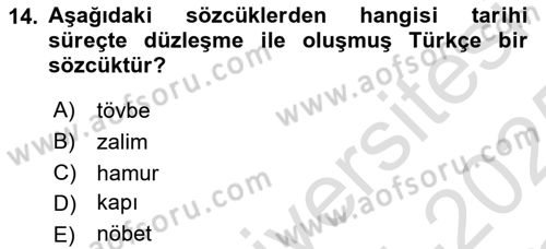 Türkçe Ses Bilgisi Dersi 2024 - 2025 Yılı Yaz Okulu Sınav Soruları 14. Soru