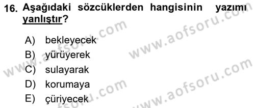 Türkçe Ses Bilgisi Dersi 2024 - 2025 Yılı Yaz Okulu Sınav Soruları 16. Soru