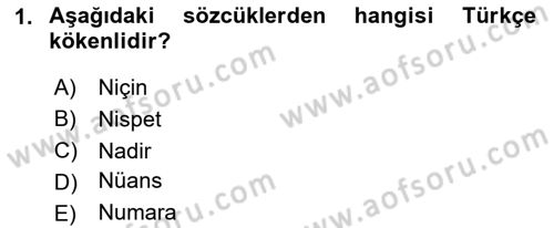 Türkçe Ses Bilgisi Dersi 2025 - 2026 Yılı (Vize) Ara Sınav Soruları 1. Soru