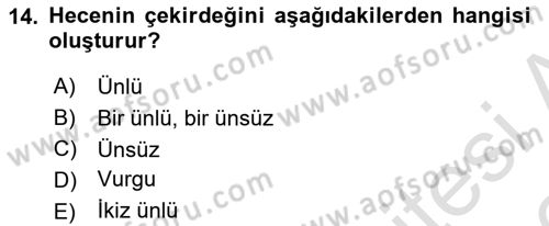 Türkçe Ses Bilgisi Dersi 2025 - 2026 Yılı (Vize) Ara Sınav Soruları 14. Soru