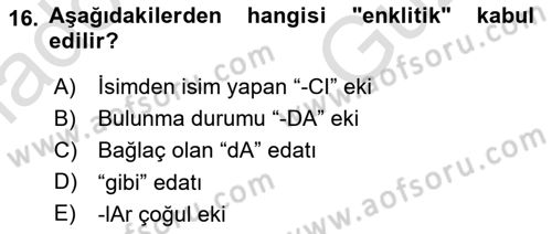 Türkçe Ses Bilgisi Dersi 2025 - 2026 Yılı (Vize) Ara Sınav Soruları 16. Soru