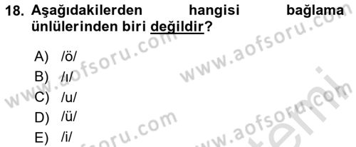 Türkçe Ses Bilgisi Dersi 2025 - 2026 Yılı (Vize) Ara Sınav Soruları 18. Soru