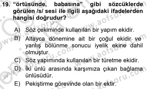 Türkçe Ses Bilgisi Dersi 2025 - 2026 Yılı (Vize) Ara Sınav Soruları 19. Soru