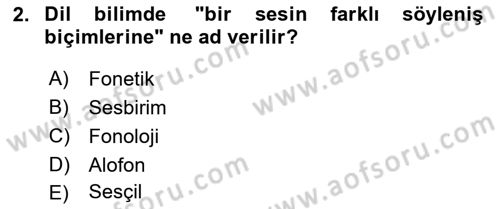 Türkçe Ses Bilgisi Dersi 2025 - 2026 Yılı (Vize) Ara Sınav Soruları 2. Soru