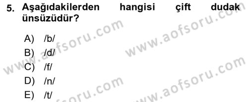 Türkçe Ses Bilgisi Dersi 2025 - 2026 Yılı (Vize) Ara Sınav Soruları 5. Soru