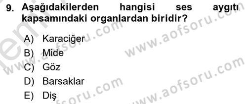 Türkçe Ses Bilgisi Dersi 2025 - 2026 Yılı (Vize) Ara Sınav Soruları 9. Soru