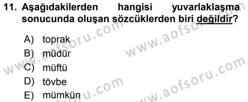 Türkçe Ses Bilgisi Dersi 2025 - 2026 Yılı (Final) Dönem Sonu Sınav Soruları 11. Soru