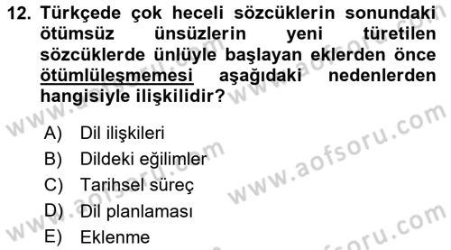 Türkçe Ses Bilgisi Dersi 2025 - 2026 Yılı (Final) Dönem Sonu Sınav Soruları 12. Soru