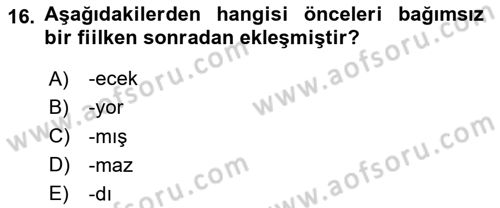 Türkçe Ses Bilgisi Dersi 2025 - 2026 Yılı (Final) Dönem Sonu Sınav Soruları 16. Soru