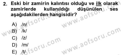 Türkçe Ses Bilgisi Dersi 2025 - 2026 Yılı (Final) Dönem Sonu Sınav Soruları 2. Soru