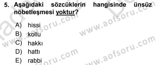 Türkçe Ses Bilgisi Dersi 2025 - 2026 Yılı (Final) Dönem Sonu Sınav Soruları 5. Soru
