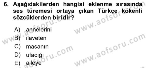 Türkçe Ses Bilgisi Dersi 2025 - 2026 Yılı (Final) Dönem Sonu Sınav Soruları 6. Soru