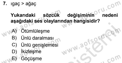 Türkçe Ses Bilgisi Dersi 2025 - 2026 Yılı (Final) Dönem Sonu Sınav Soruları 7. Soru