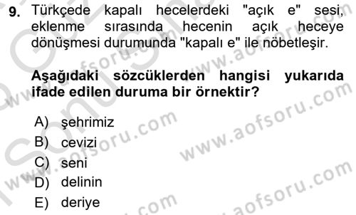 Türkçe Ses Bilgisi Dersi 2025 - 2026 Yılı (Final) Dönem Sonu Sınav Soruları 9. Soru