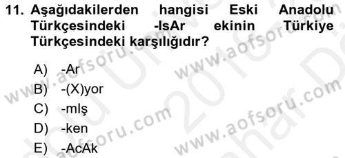 Türkçe Biçim Bilgisi Dersi 2018 - 2019 Yılı (Vize) Ara Sınav Soruları 11. Soru