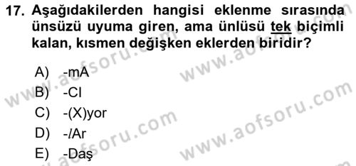 Türkçe Biçim Bilgisi Dersi 2018 - 2019 Yılı (Vize) Ara Sınav Soruları 17. Soru