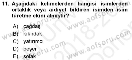 Türkçe Biçim Bilgisi Dersi 2018 - 2019 Yılı (Final) Dönem Sonu Sınav Soruları 11. Soru