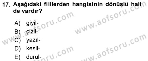 Türkçe Biçim Bilgisi Dersi 2018 - 2019 Yılı (Final) Dönem Sonu Sınav Soruları 17. Soru
