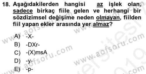 Türkçe Biçim Bilgisi Dersi 2018 - 2019 Yılı (Final) Dönem Sonu Sınav Soruları 18. Soru