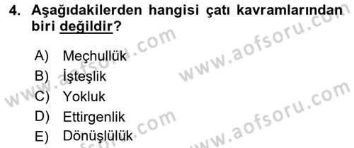 Türkçe Biçim Bilgisi Dersi 2018 - 2019 Yılı (Final) Dönem Sonu Sınav Soruları 4. Soru