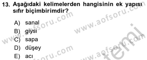 Türkçe Biçim Bilgisi Dersi 2018 - 2019 Yılı Yaz Okulu Sınav Soruları 13. Soru