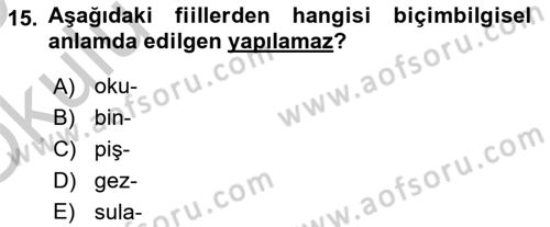 Türkçe Biçim Bilgisi Dersi 2018 - 2019 Yılı Yaz Okulu Sınav Soruları 15. Soru