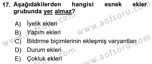 Türkçe Biçim Bilgisi Dersi 2018 - 2019 Yılı Yaz Okulu Sınav Soruları 17. Soru