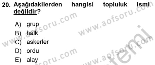 Türkçe Biçim Bilgisi Dersi 2018 - 2019 Yılı Yaz Okulu Sınav Soruları 20. Soru
