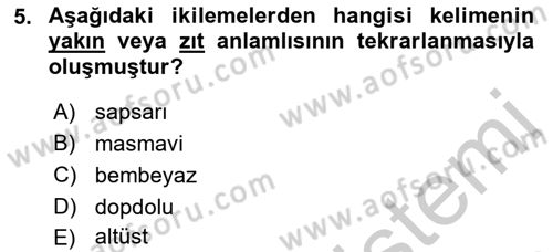 Türkçe Biçim Bilgisi Dersi 2018 - 2019 Yılı Yaz Okulu Sınav Soruları 5. Soru