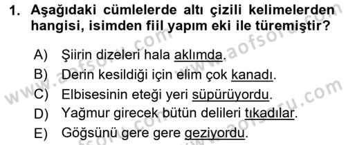 Türkçe Biçim Bilgisi Dersi 2020 - 2021 Yılı Yaz Okulu Sınav Soruları 1. Soru