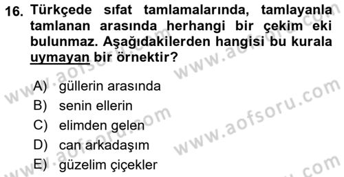 Türkçe Biçim Bilgisi Dersi 2021 - 2022 Yılı (Vize) Ara Sınav Soruları 16. Soru