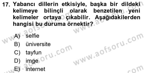 Türkçe Biçim Bilgisi Dersi 2021 - 2022 Yılı (Vize) Ara Sınav Soruları 17. Soru