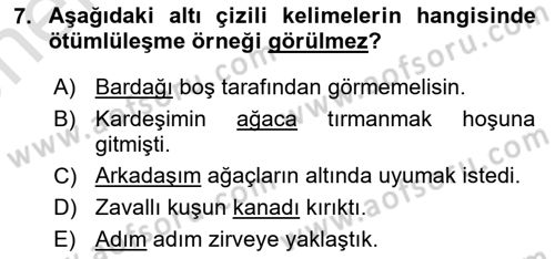 Türkçe Biçim Bilgisi Dersi 2021 - 2022 Yılı (Vize) Ara Sınav Soruları 7. Soru