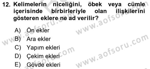 Türkçe Biçim Bilgisi Dersi 2021 - 2022 Yılı (Final) Dönem Sonu Sınav Soruları 12. Soru