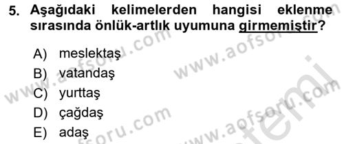 Türkçe Biçim Bilgisi Dersi 2021 - 2022 Yılı (Final) Dönem Sonu Sınav Soruları 5. Soru