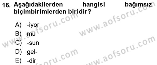 Türkçe Biçim Bilgisi Dersi 2021 - 2022 Yılı Yaz Okulu Sınav Soruları 16. Soru